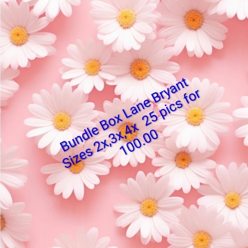 Lane Bryant Bundle
